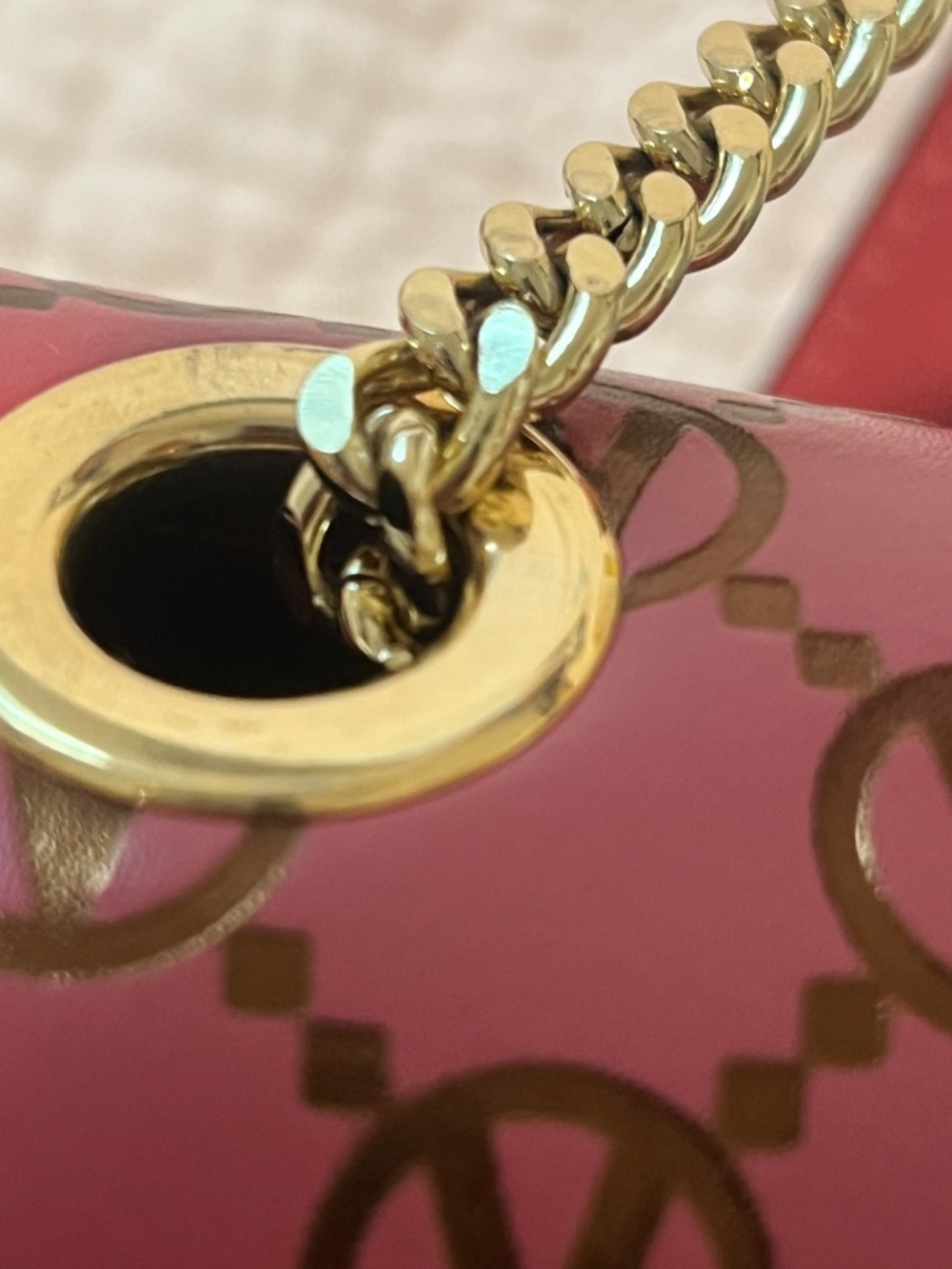 Valentino by Mario Valentino Bijou Monogram Leather Crossbody - Picture 14 of 16
